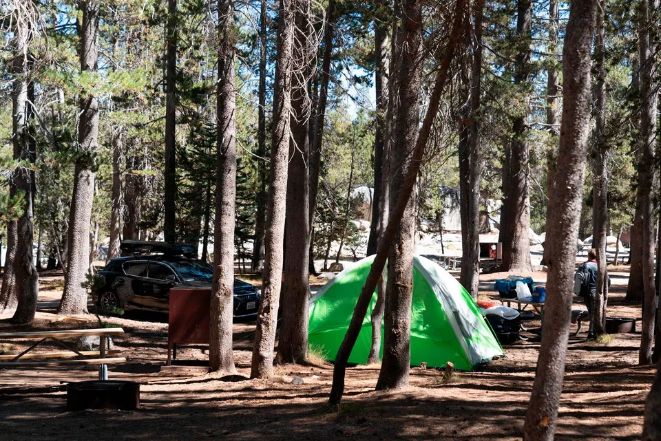 White Wolf Campsite