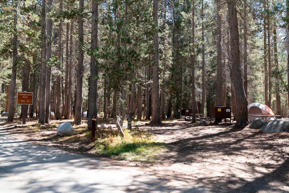 White Wolf Camp Host Site