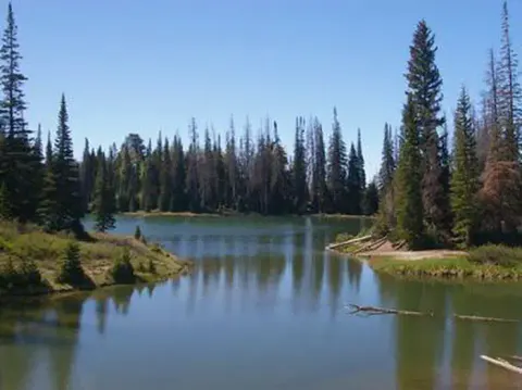Potters Pond
