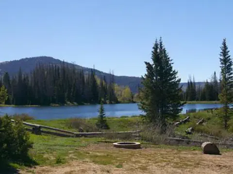 Potters Pond