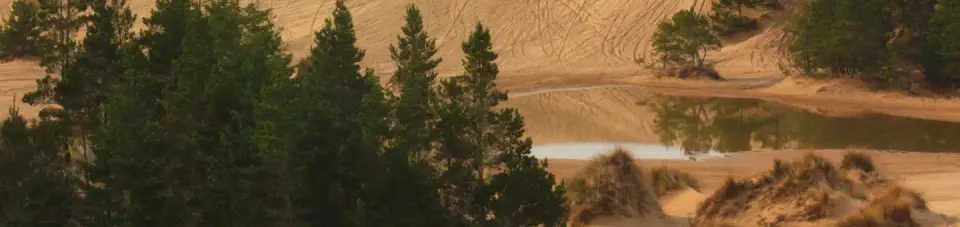 Small lake reflecting conifer trees and sand dunes.