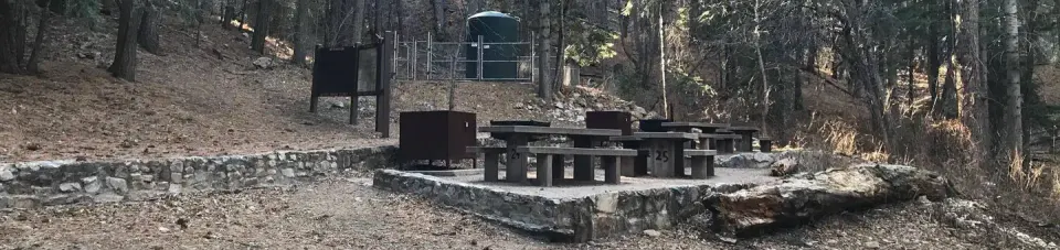 Picnic tables and bear box at Upper Arcadia