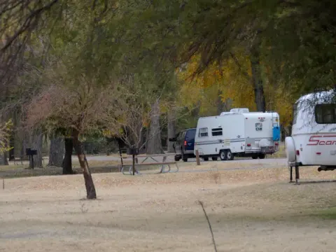 Two travel trailers in campsite with trees lining the sites and roadway