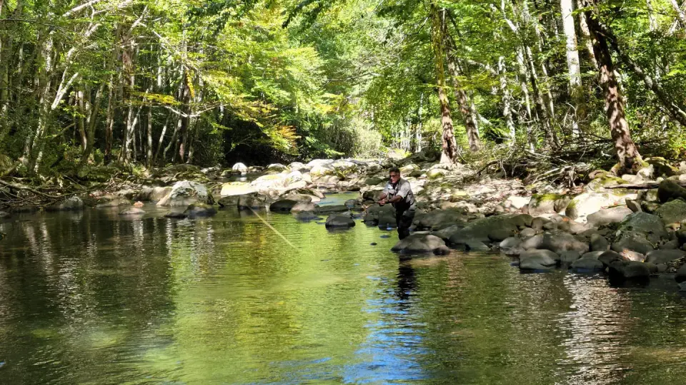 An angler in the Smokies