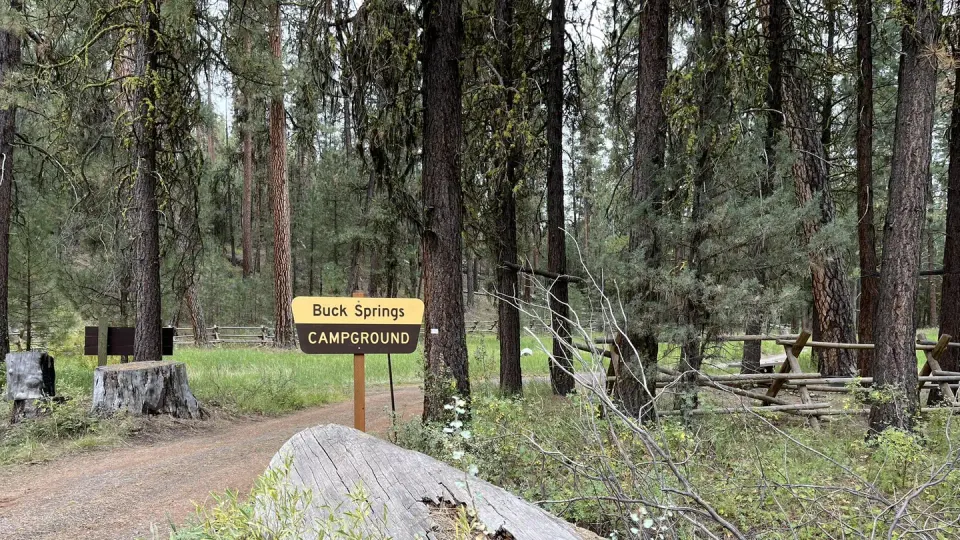 Primary Buck Springs Entrance