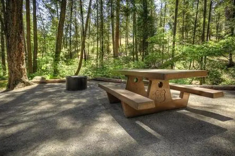 Picnic table and fire pit in a campsite