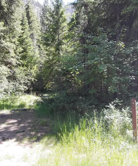 Trout Creek Campground Site 6