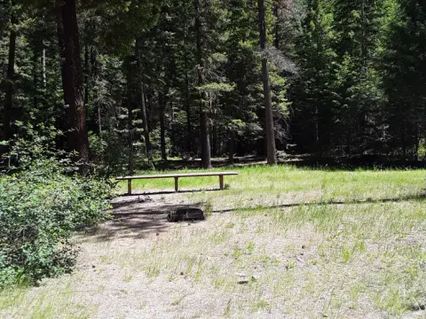 Lolo National Forest recreation area