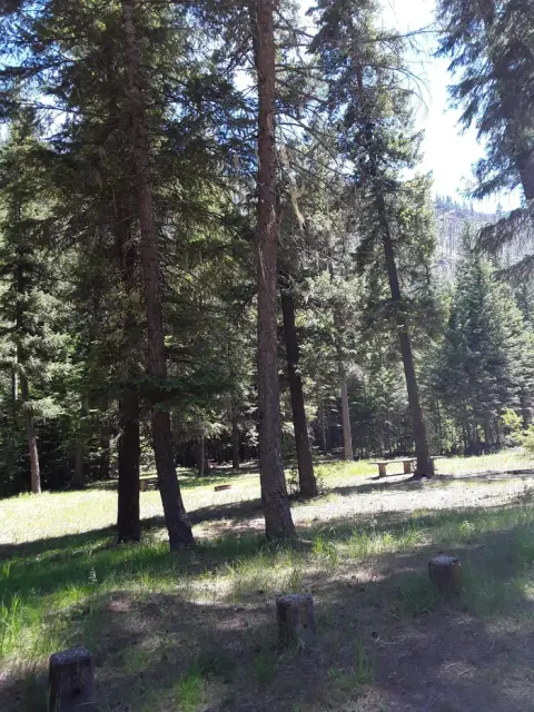 Trout Creek Campground Day Use Area