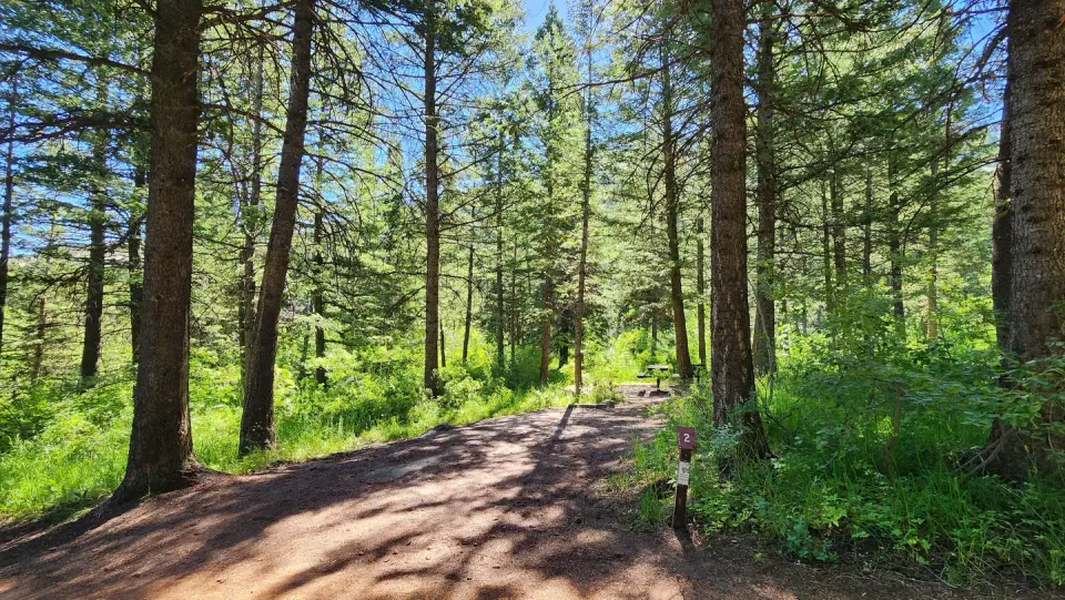 Scout Mountain Campground site 2