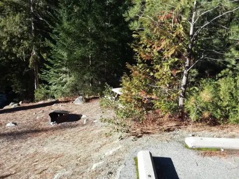 Site 7