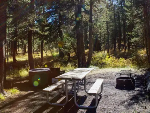 Campsite at Porcupine Flat