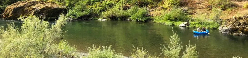 Shasta-Trinity National Forest recreation area