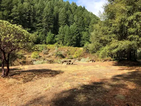 Shasta-Trinity National Forest recreation area