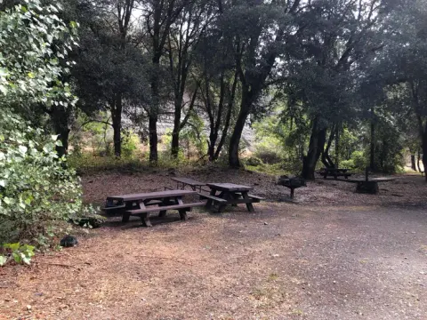 Shasta-Trinity National Forest recreation area