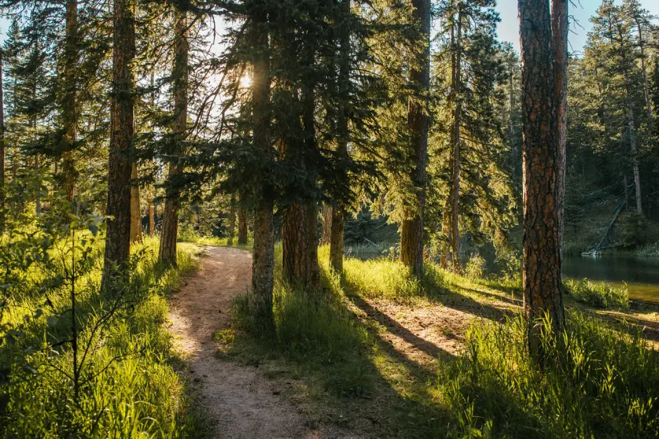 Dalton Lake Walking Path
