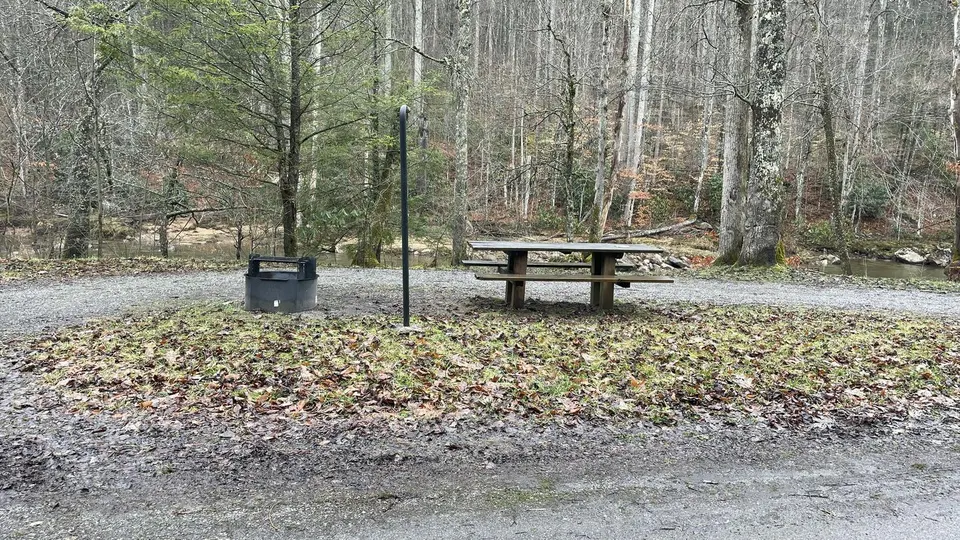 typical Williams River Campsite