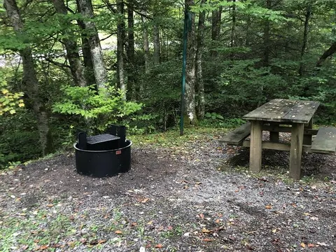 Monongahela National Forest recreation area