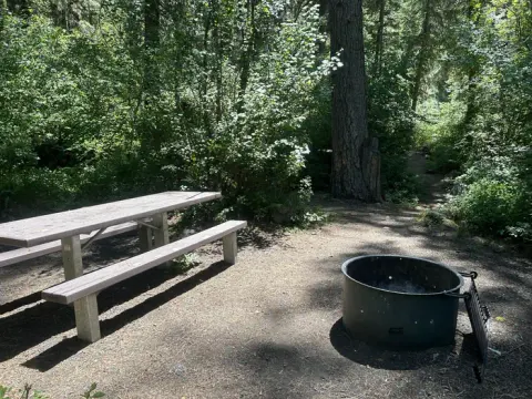 Brownlee Campsite #6