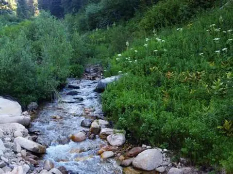 Boise National Forest recreation area