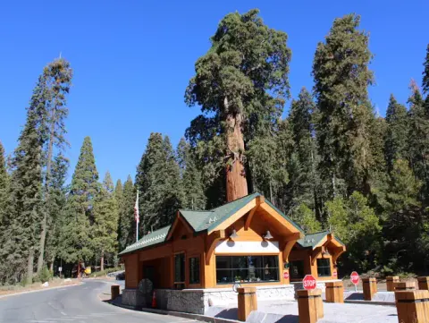 Sequoia & Kings Canyon National Parks recreation area