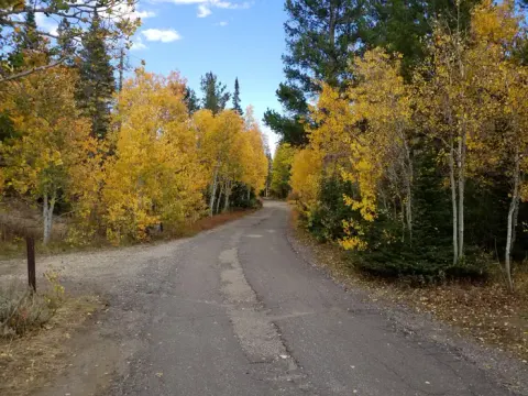 Medicine Bow-Routt NFs & Thunder Basin NG recreation area
