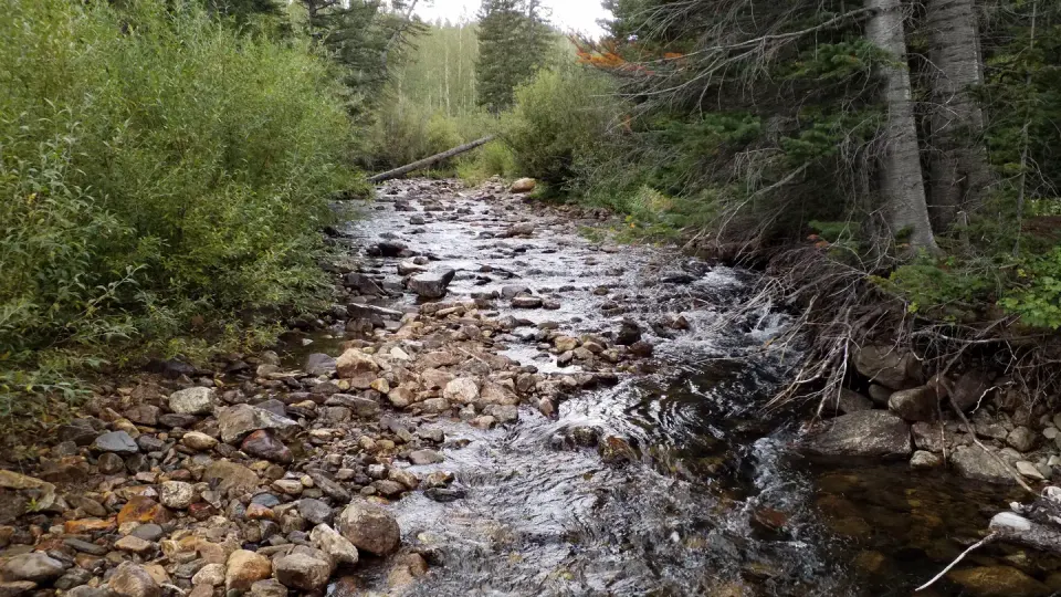 Libby Creek