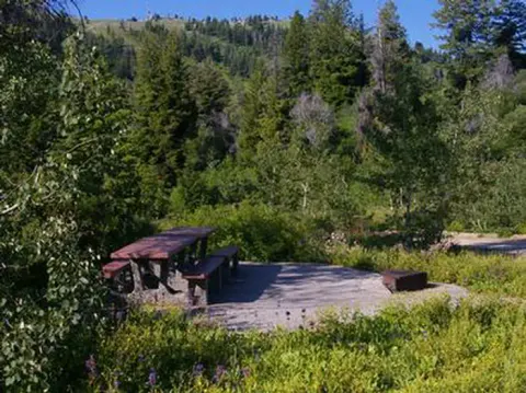 Relax with a picnic, table, firepit, paved walkways with fir, aspen trees and wildflowers all around you.