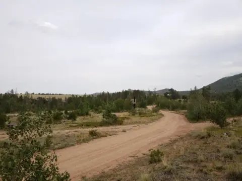 Yellow Pine CG near site 15