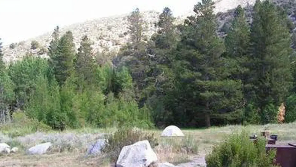 Rocky boulders and shrub grasses in a campground