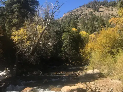 Little Bear Group Campground