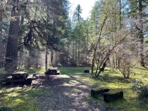 Willamette National Forest recreation area