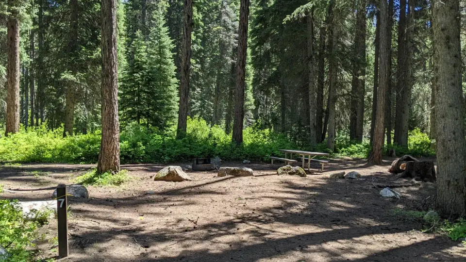 Lake Fork Campground site 7