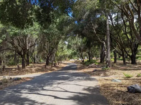 Kyen Campground Roads