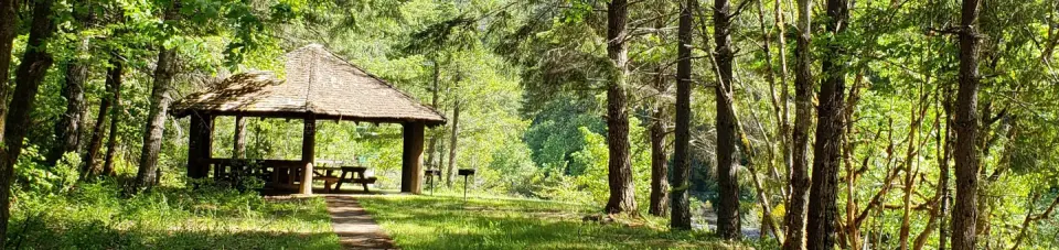 Group Picnic Shelter in sunlit glade of forested creek bank.
