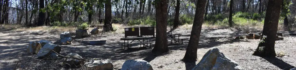 Horse Camp site #2