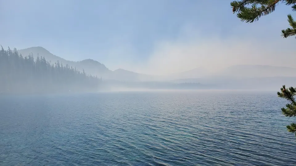 misty lake with trees behind.