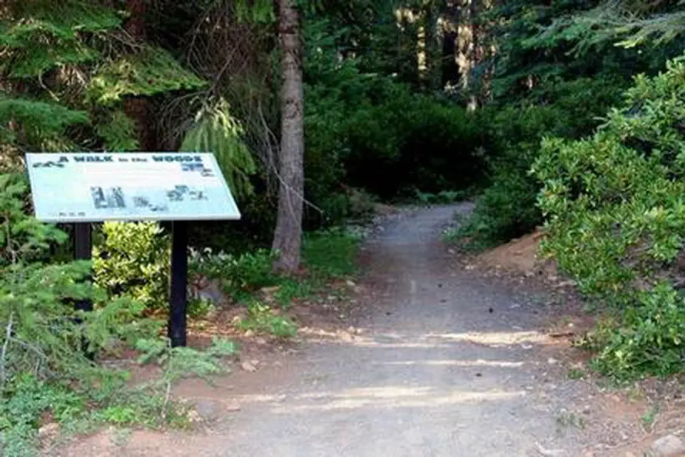 Fremont-Winema National Forest recreation area