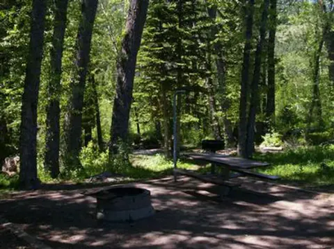 Big Springs campsite