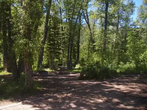 Big Springs Campsite in the shade