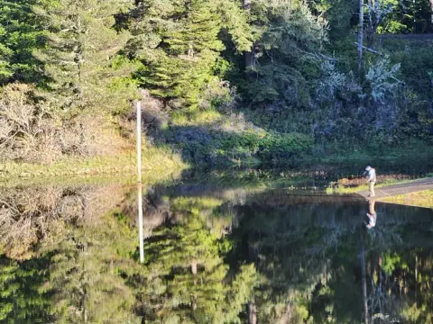 Siuslaw National Forest recreation area