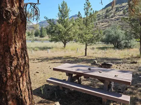 This photo shows an example of a walk-in campsite at Service Creek with a picnic table and large ponderosa pine tree.
