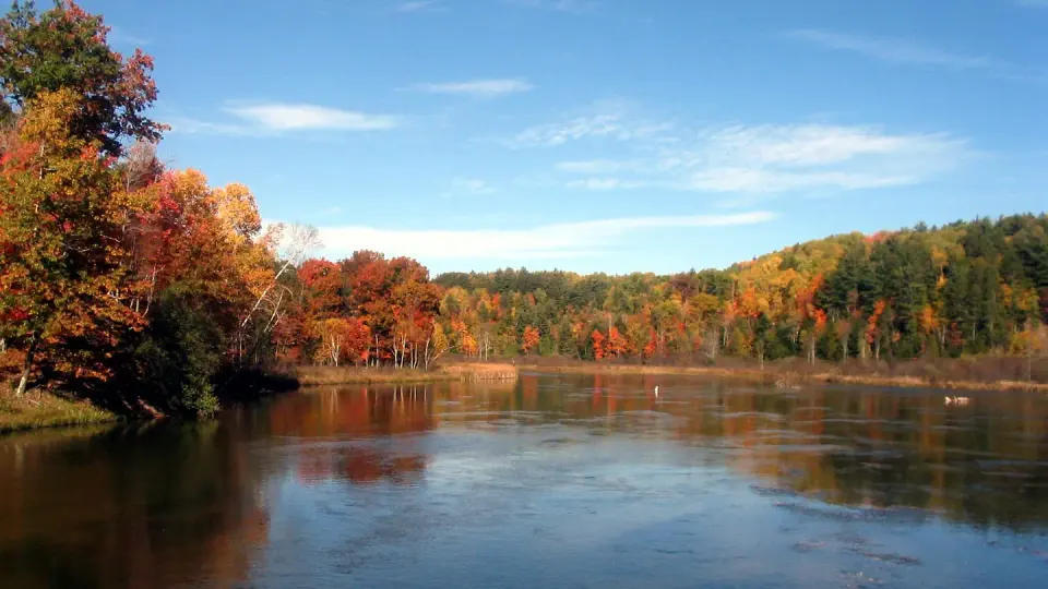 Huron-Manistee National Forests recreation area