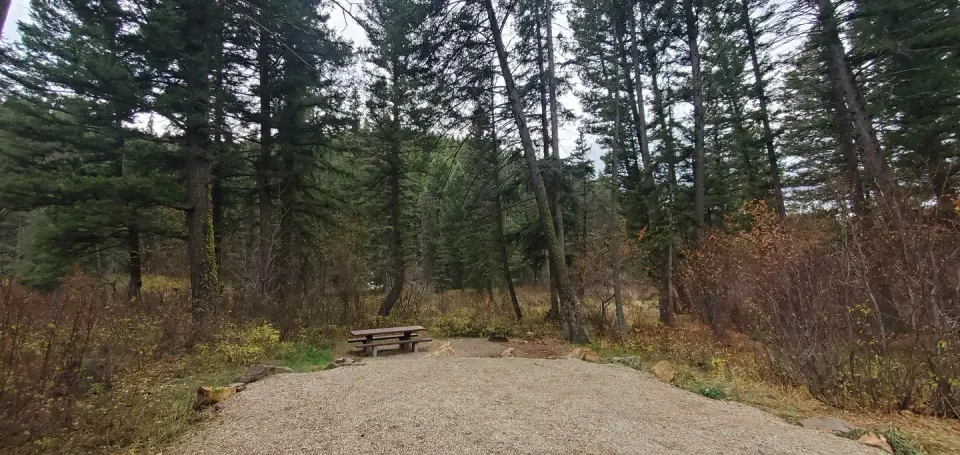 Campsite nestled in conifers with picnic table and parking spur in view