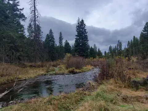 Flint Creek under a overcast sky
