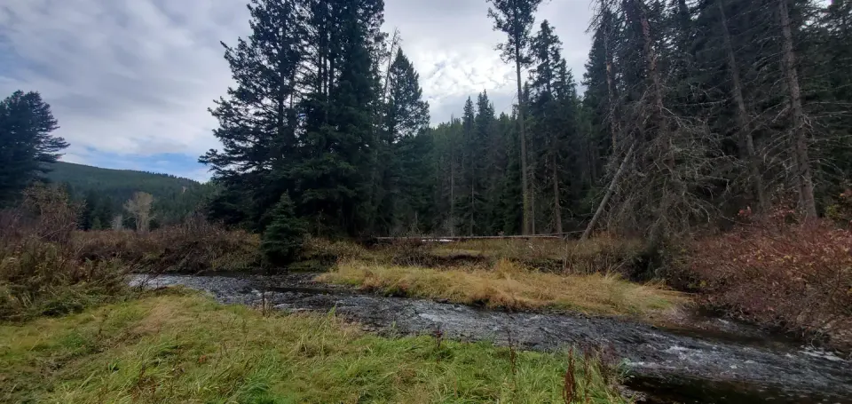 Flint Creek flowing alongside the campground