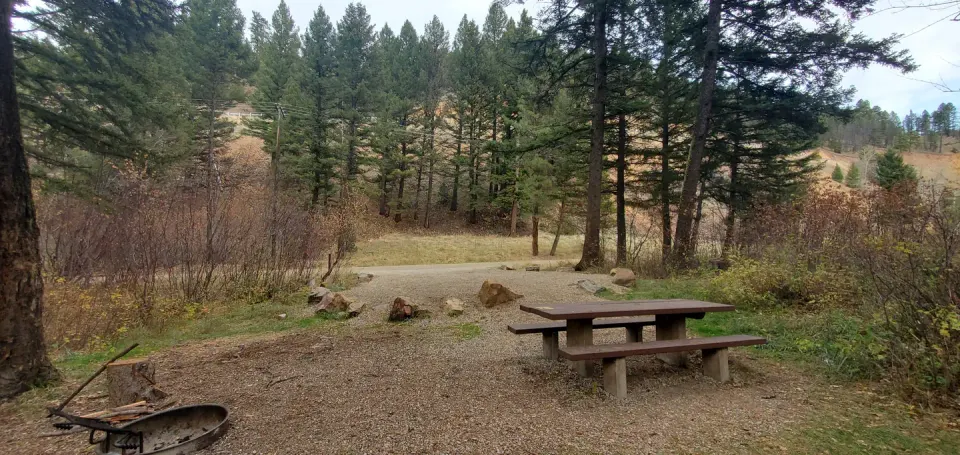 Campsite along the road with picnic table, fire ring, and parking spur