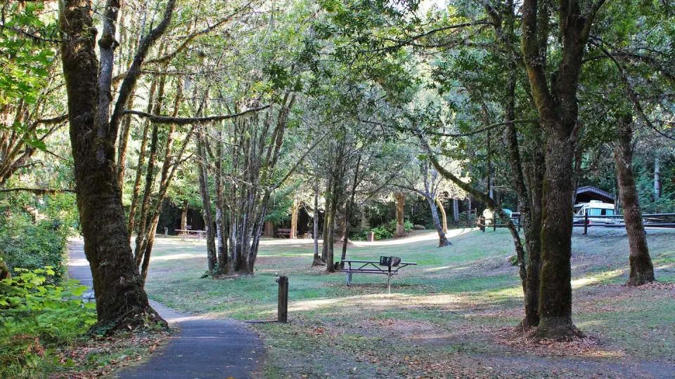 Paved trail and picnic site at Tyee Campground.