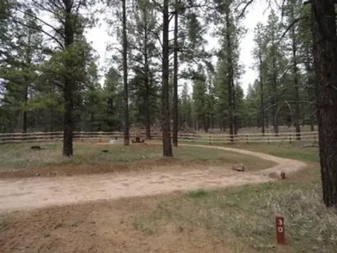 Pioneer CG Site