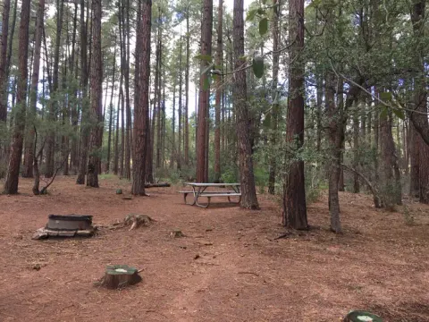 Tonto National Forest recreation area